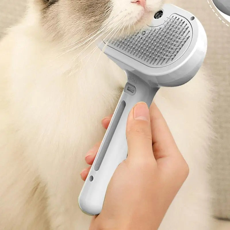 Steam Brush