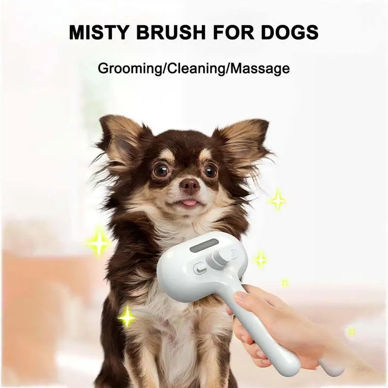 Steam Brush