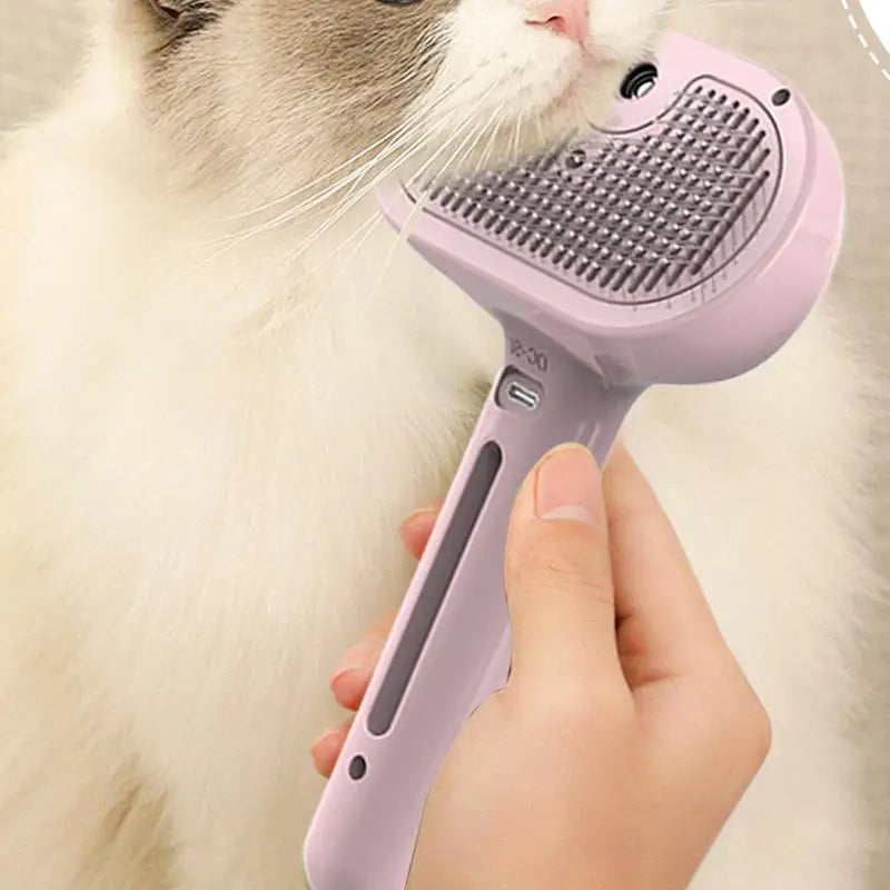 Steam Brush